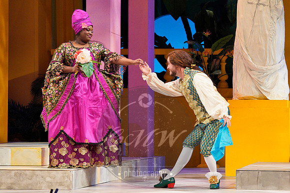_DSC2496