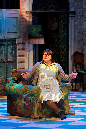 Des Moines Metro Opera, Barber of Seville