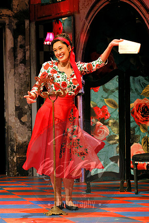Des Moines Metro Opera, Barber of Seville