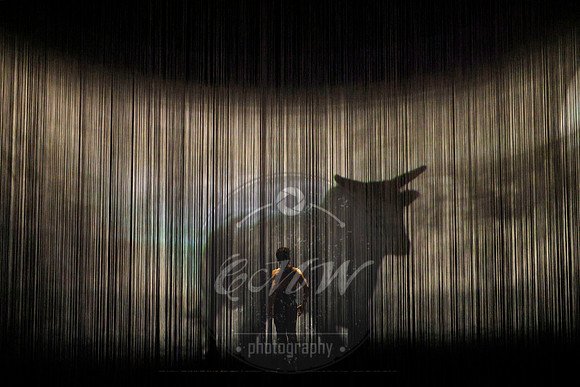 Los Angeles Opera, Ainadamar
