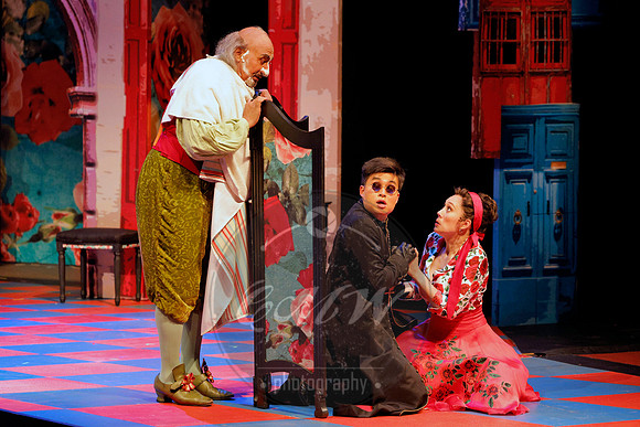 Des Moines Metro Opera, Barber of Seville