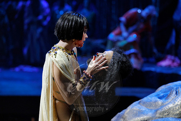 Des Moines Metro Opera, Salome