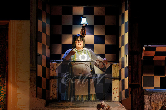 Des Moines Metro Opera, Barber of Seville