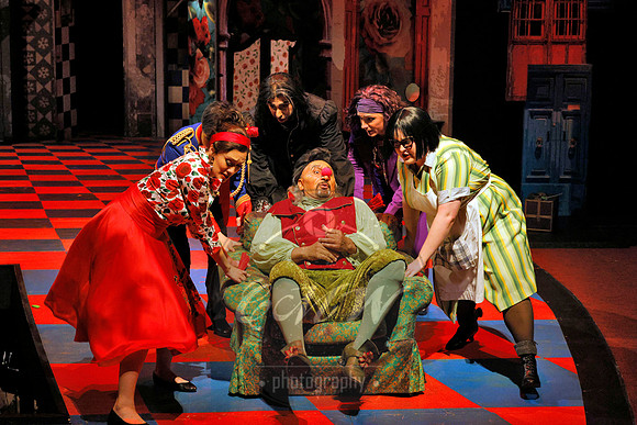 Des Moines Metro Opera, Barber of Seville