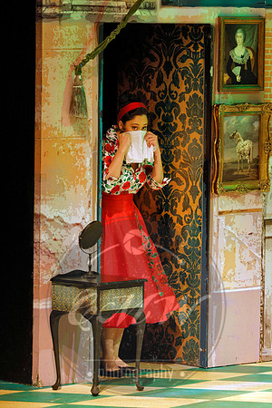 Des Moines Metro Opera, Barber of Seville
