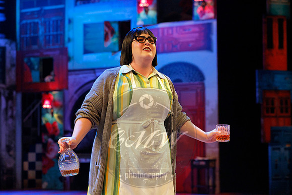 Des Moines Metro Opera, Barber of Seville