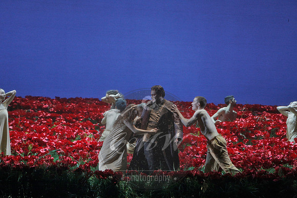 Metropolitan Opera, Prince Igor