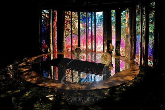 Des Moines Metro Opera, The Cunning Little Vixen