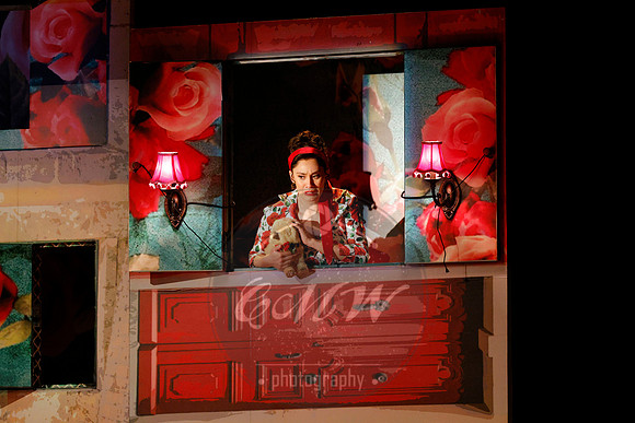 Des Moines Metro Opera, Barber of Seville