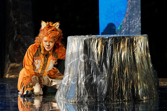 Des Moines Metro Opera, The Cunning Little Vixen