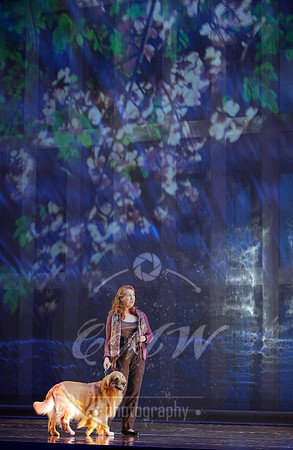 San Francisco Opera, Heart of a Soldier