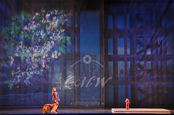 San Francisco Opera, Heart of a Soldier