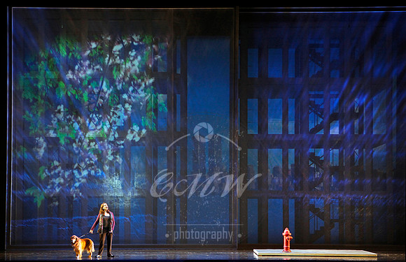 San Francisco Opera, Heart of a Soldier