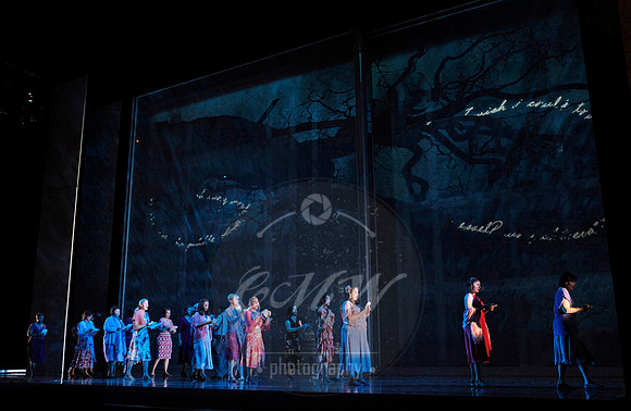 San Francisco Opera, Heart of a Soldier