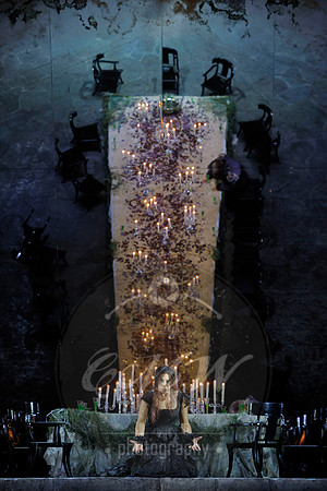 Lyric Opera of Chicago, Medea