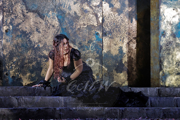 Lyric Opera of Chicago, Medea