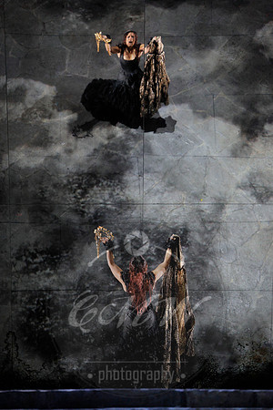 Lyric Opera of Chicago, Medea
