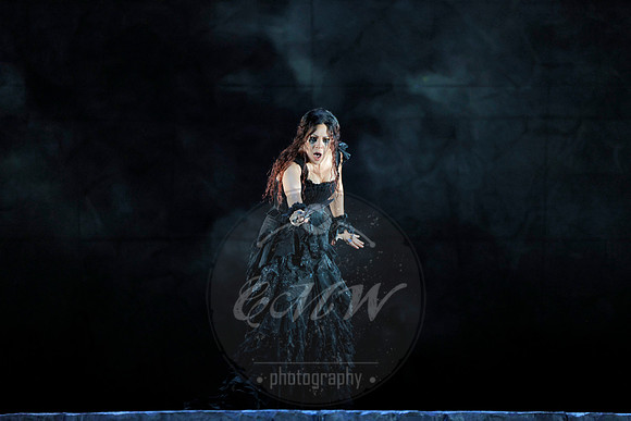 Lyric Opera of Chicago, Medea