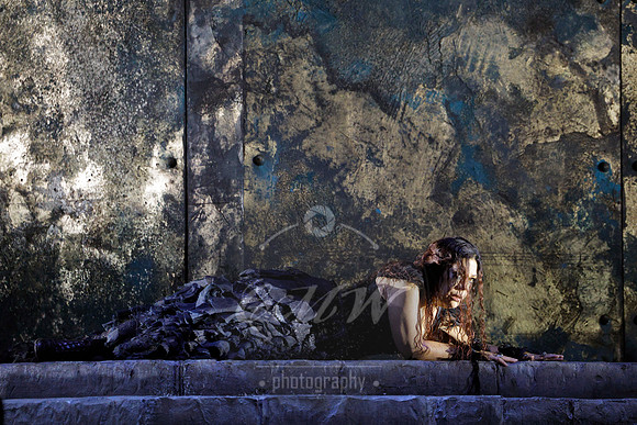 Lyric Opera of Chicago, Medea