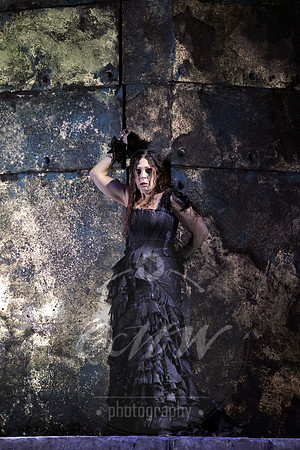 Lyric Opera of Chicago, Medea