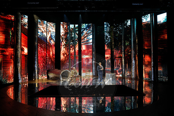 Des Moines Metro Opera, The Cunning Little Vixen