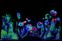 San Francisco Opera, The Monkey King