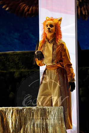 Des Moines Metro Opera, The Cunning Little Vixen