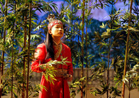 San Francisco Opera, Dream of the Red Chamber