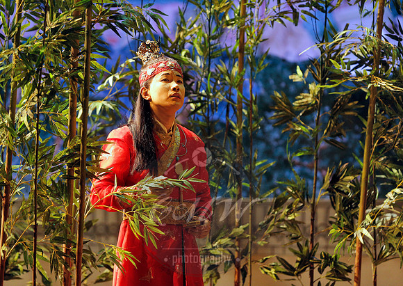 San Francisco Opera, Dream of the Red Chamber