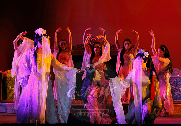 San Francisco Opera, Dream of the Red Chamber