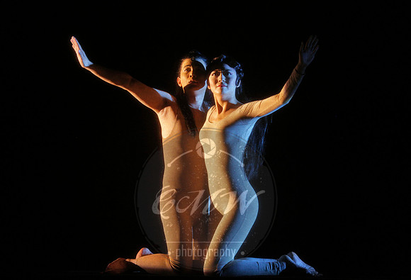San Francisco Opera, Dream of the Red Chamber