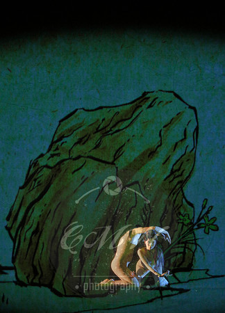 San Francisco Opera, Dream of the Red Chamber