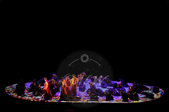 _DSC0711