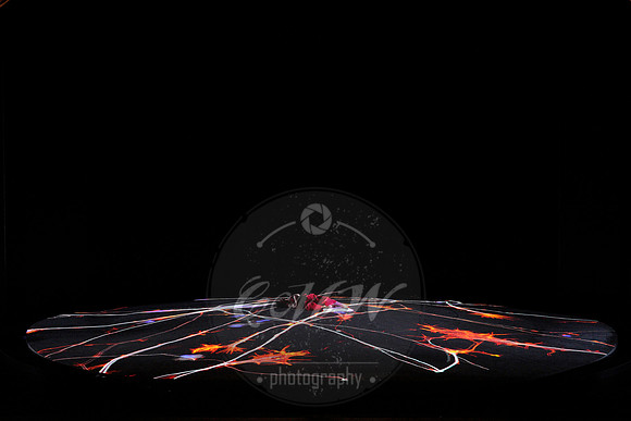 _DSC0855