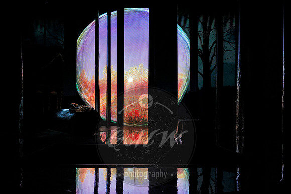 Des Moines Metro Opera, The Cunning Little Vixen