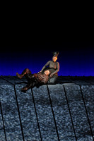 Met Opera Rheingold