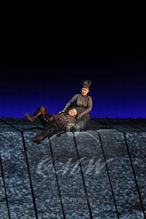 Met Opera Rheingold