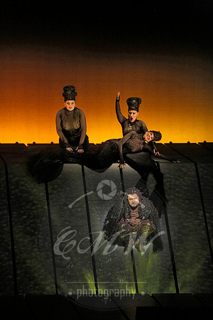 Met Opera Rheingold
