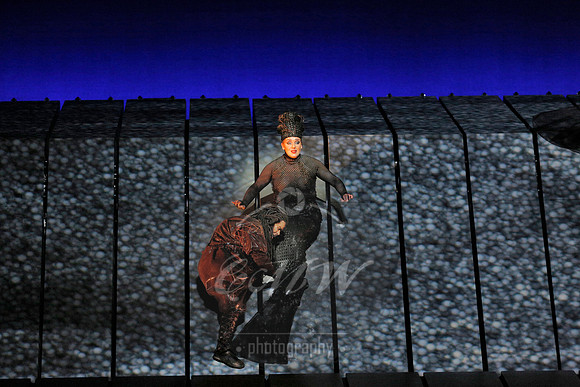 Met Opera Rheingold