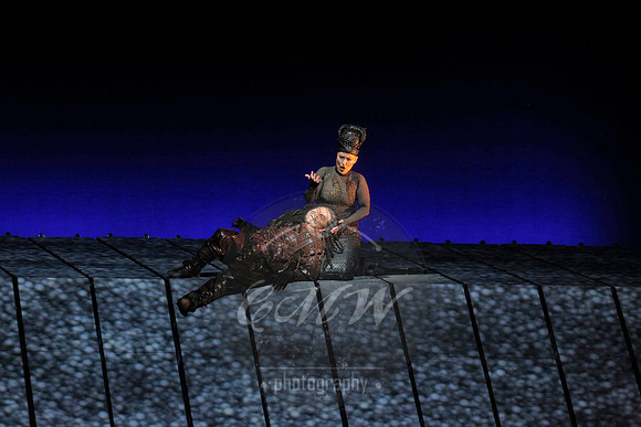 Met Opera Rheingold