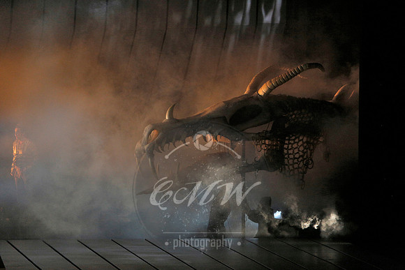 Met Opera Rheingold