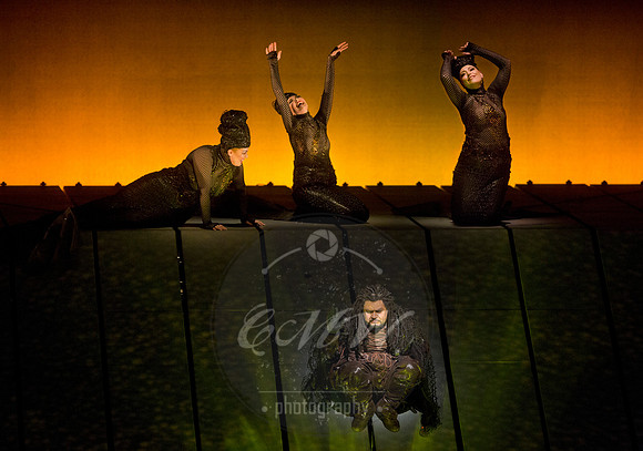 Met Opera Rheingold