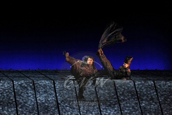 Met Opera Rheingold