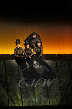 Met Opera Rheingold