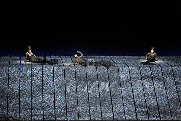 Met Opera Rheingold