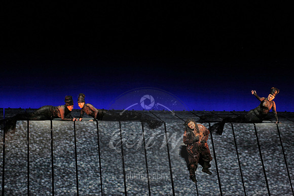 Met Opera Rheingold