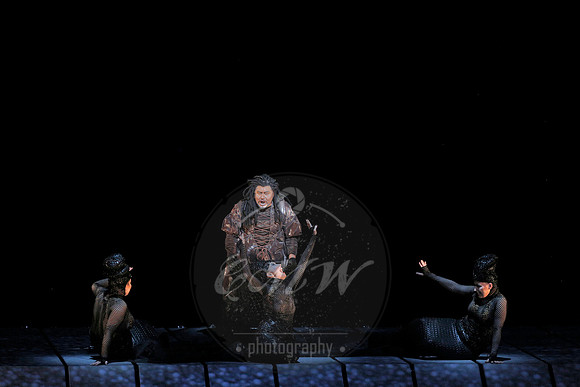 Met Opera Rheingold