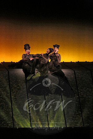 Met Opera Rheingold