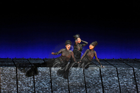 Met Opera Rheingold