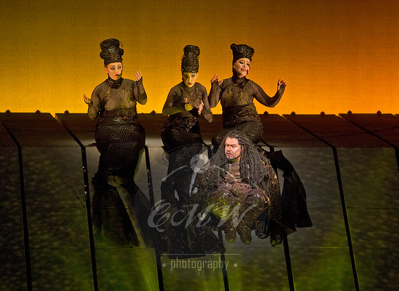 Met Opera Rheingold